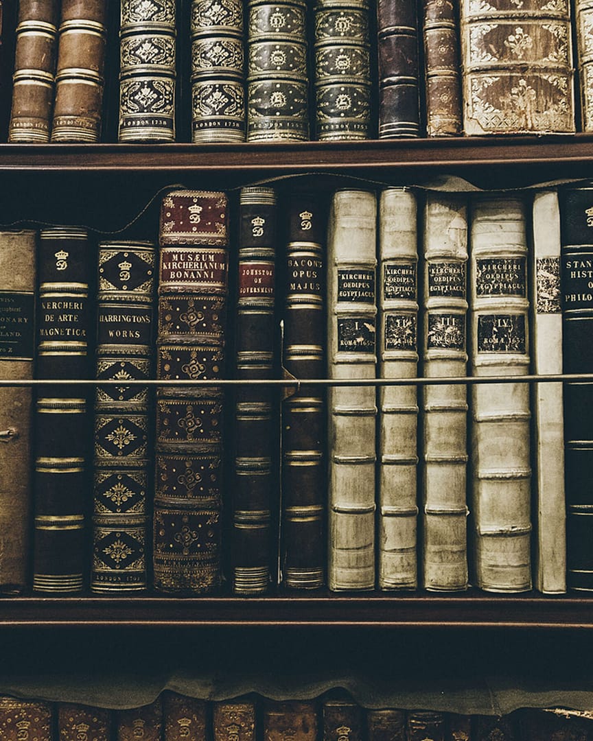 Описание изображения